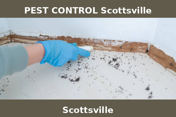PEST CONTROL Scottsville